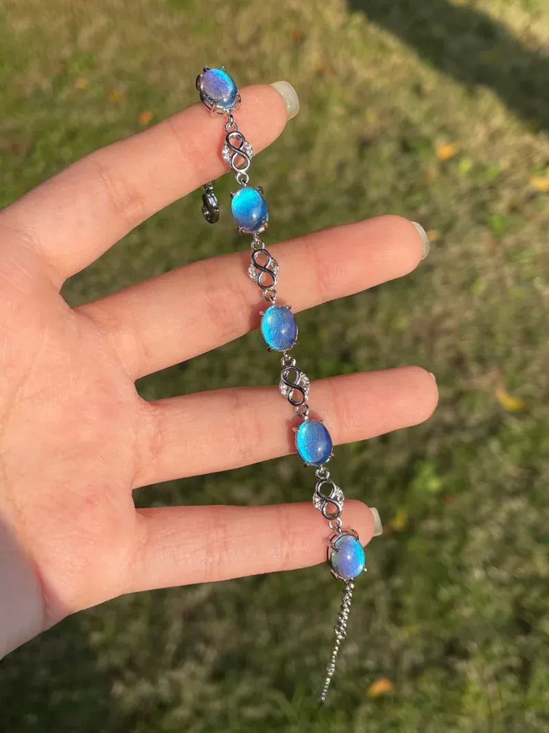 Butterfly Wing Bracelet – Nature-Inspired Specimen Jewelry with Blue Wings