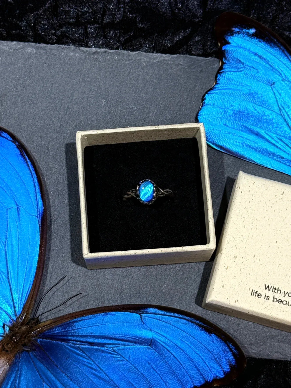 Butterfly Wing Specimen Ring | Handmade Nature-Inspired Jewelry (Multiple Styles) Style 11