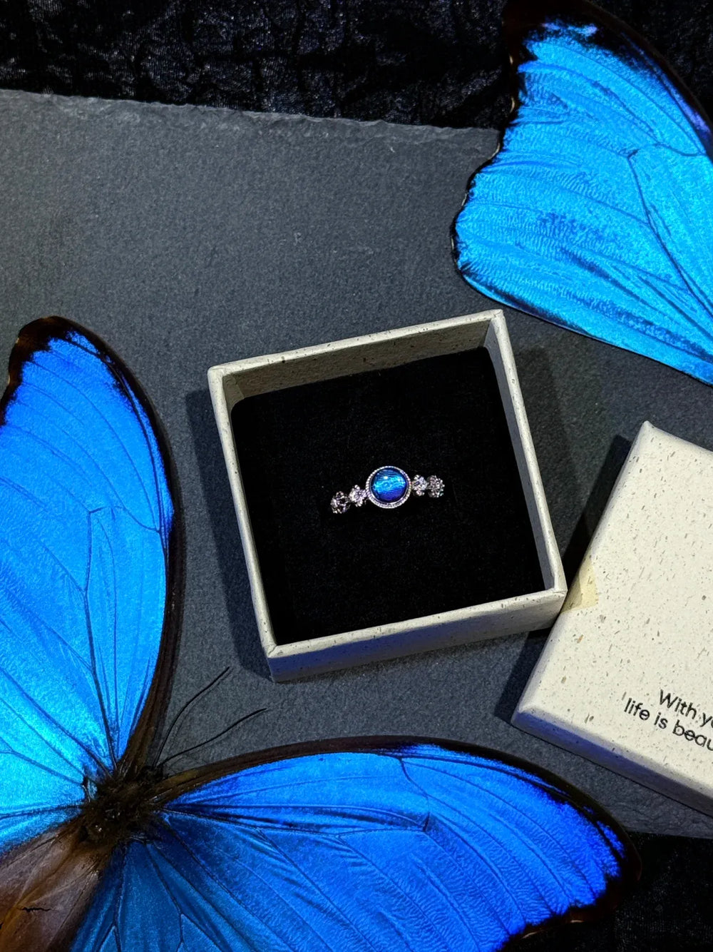 Butterfly Wing Specimen Ring | Handmade Nature-Inspired Jewelry (Multiple Styles) Style 6