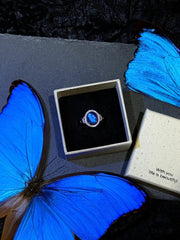 Butterfly Wing Specimen Ring | Handmade Nature-Inspired Jewelry (Multiple Styles) Style 3
