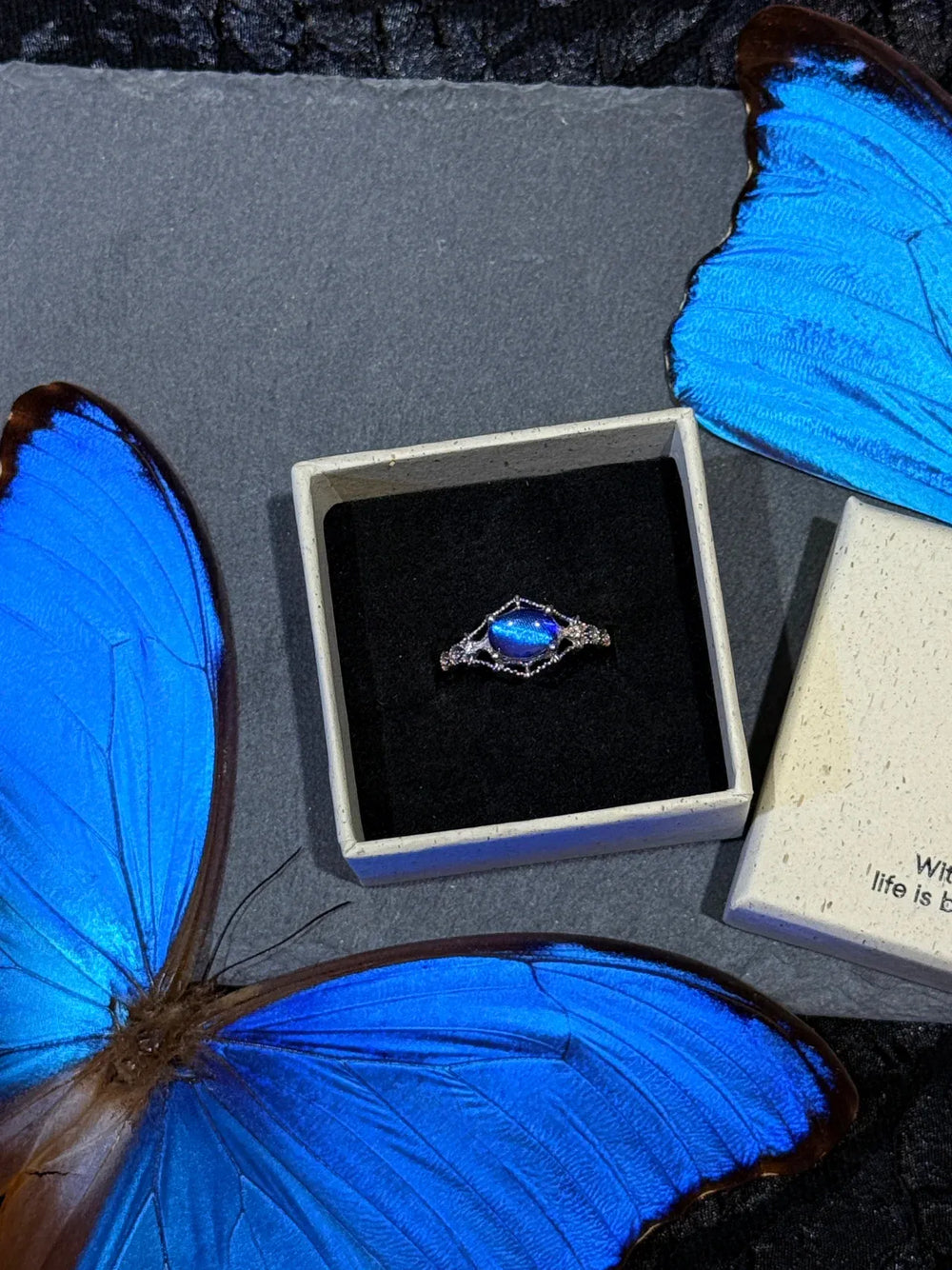 Butterfly Wing Specimen Ring | Handmade Nature-Inspired Jewelry (Multiple Styles) Style 2