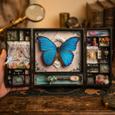 Handcrafted Blue Morpho Butterfly Diorama Box – Vintage Nature Collector Gift