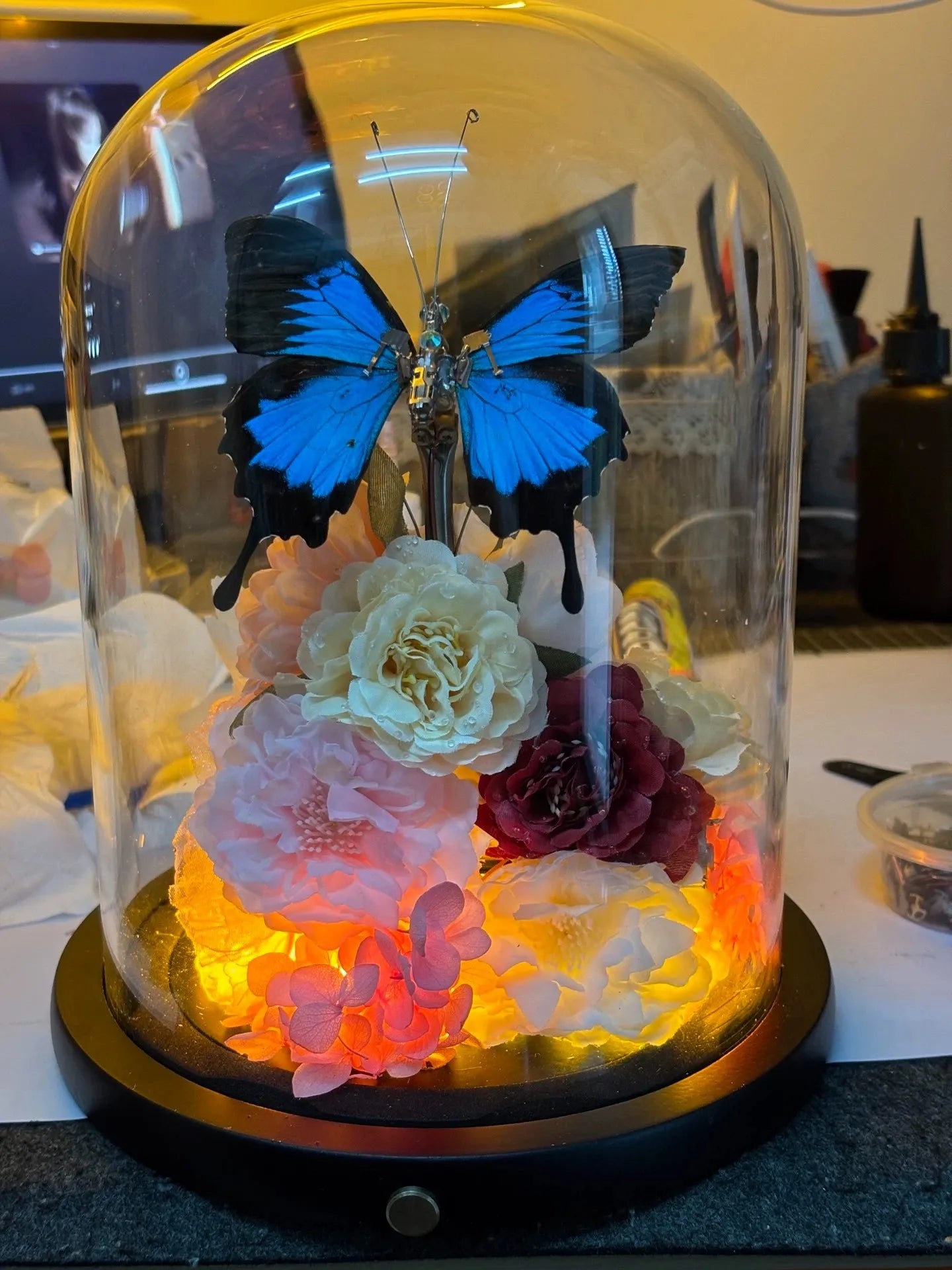 Butterfly specimen gift - Mechanical Butterfly Butterfly specimen gift - Mechanical Butterfly