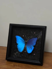 Real Blue Morpho Butterfly Frame – Handmade Specimen Wall Decor