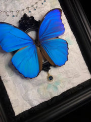 Real Blue Morpho Butterfly Frame – Handmade Specimen Wall Decor