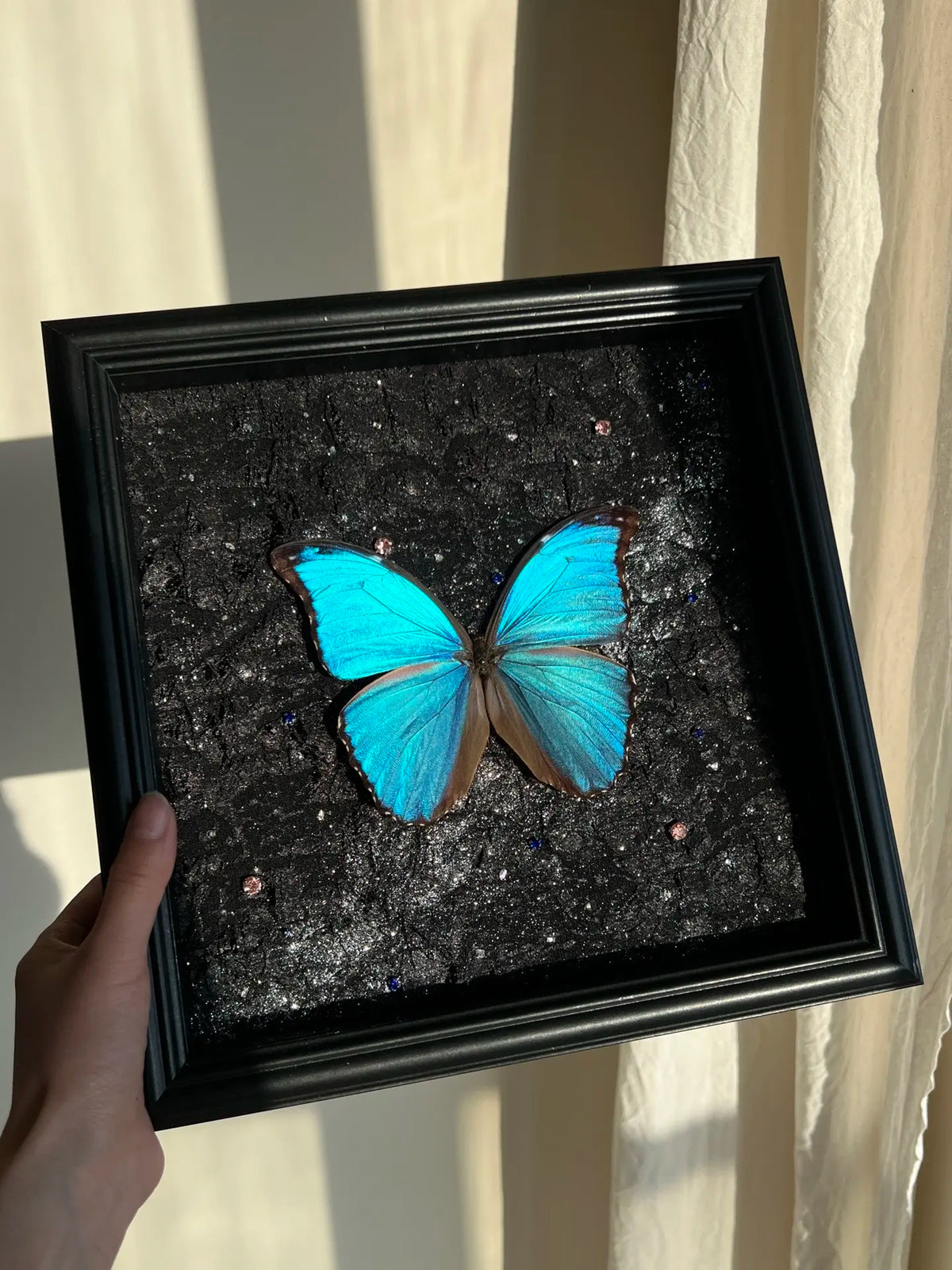 Butterfly Specimen Frame - Starry Night Style
