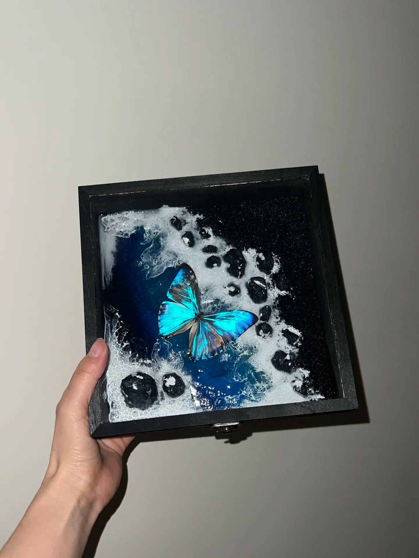 Butterfly Specimen Frame - Waves of the Sea Butterfly Specimen Frame - Waves of the Sea