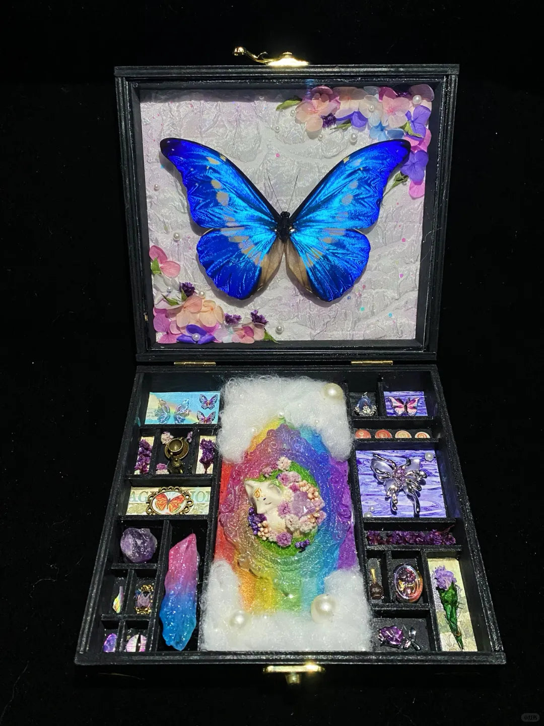 Butterfly specimen gift - Big Box -Style 2 Butterfly specimen gift - Big Box -Style 2