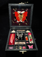 Butterfly specimen gift - music box - Style 3