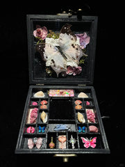 Butterfly specimen gift - music box - Style 1