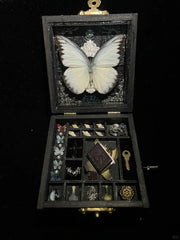 Butterfly specimen gift - music box - Style 2