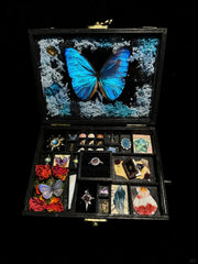 Butterfly specimen gift - music box -Style 5