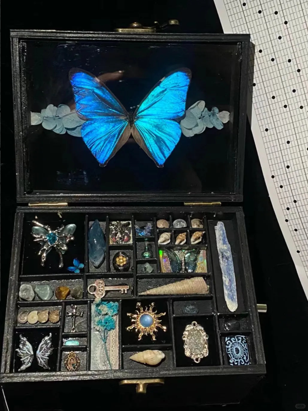 Butterfly specimen gift - music box - Morpho menelaus