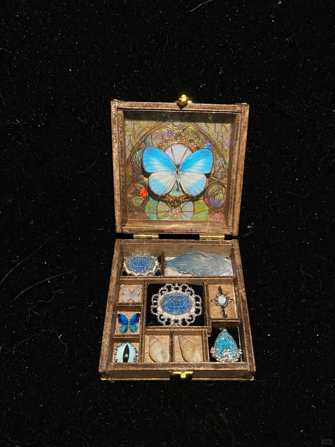 Butterfly Specimen Gift – Small Box - Style 1 Butterfly Specimen Gift – Small Box - Style 1