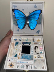 Butterfly Specimen Gift – Blue Butterfly & Ocean Keepsake Box - Whispers of Purity