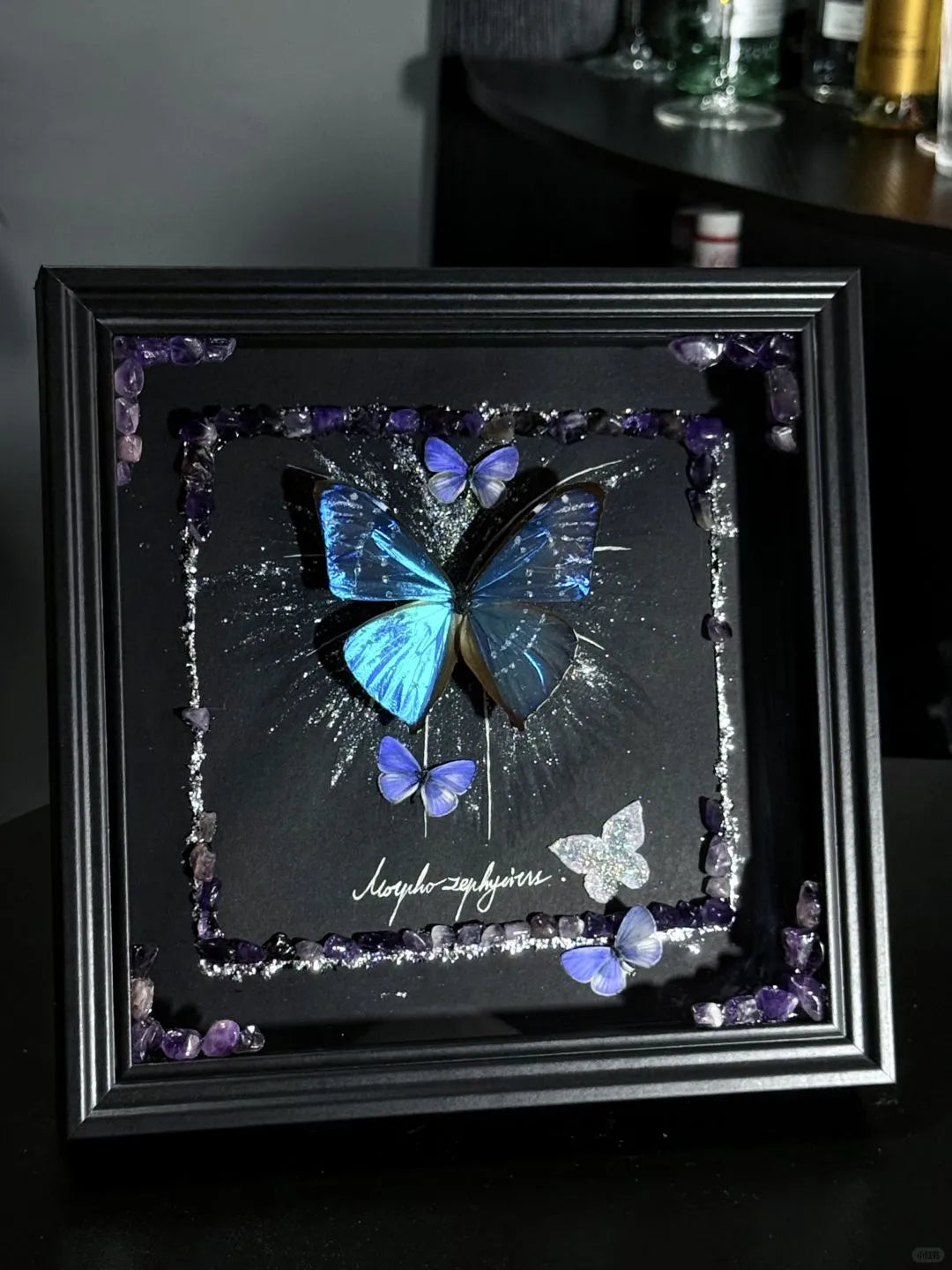 Butterfly Specimen Frame – Whispers of Blue Butterfly Specimen Frame – Whispers of Blue