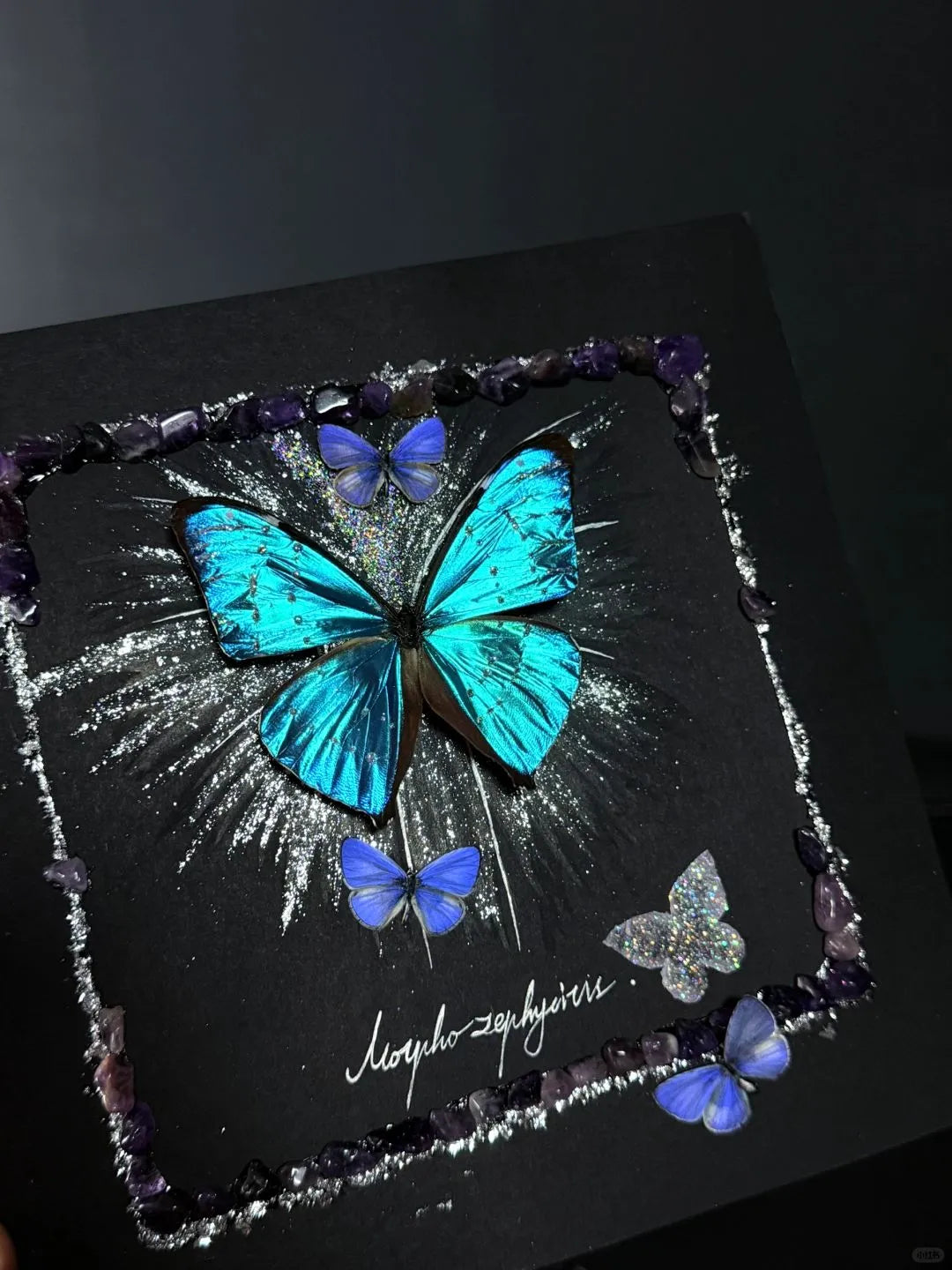 Butterfly Specimen Frame – Whispers of Blue Butterfly Specimen Frame – Whispers of Blue