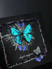 Butterfly Specimen Frame – Whispers of Blue