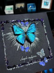 Butterfly Specimen Frame – Whispers of Blue