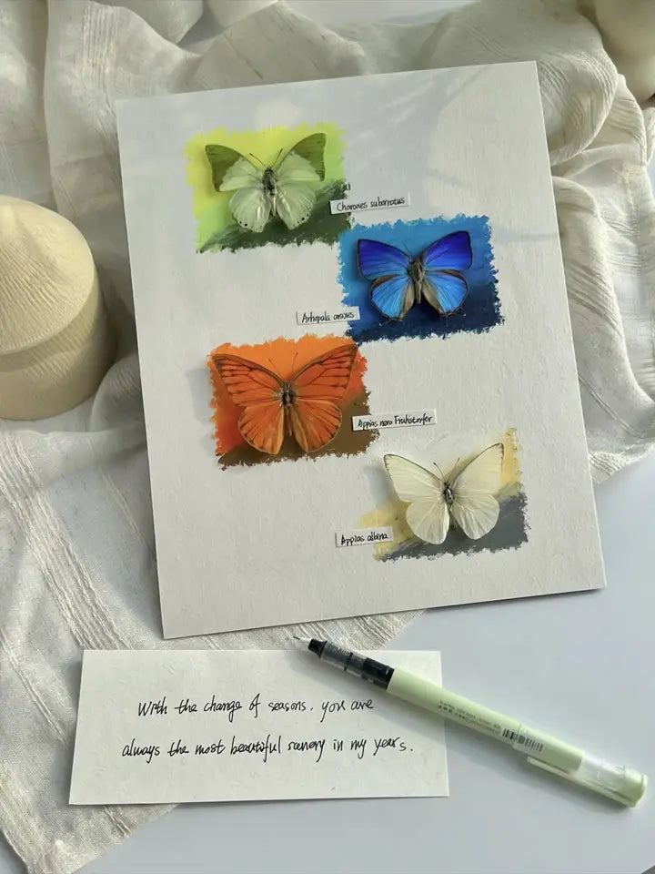 Butterfly Frame – The Four Seasons Butterfly Frame – The Four Seasons