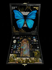 Mystical Butterfly Specimen Gift Box – Curio Cabinet with Real Blue Morpho & Gothic Miniatures