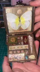 Butterfly Specimen Gift – “Spring Whisper” – Yellow Butterfly Keepsake Box with Garden Treasures