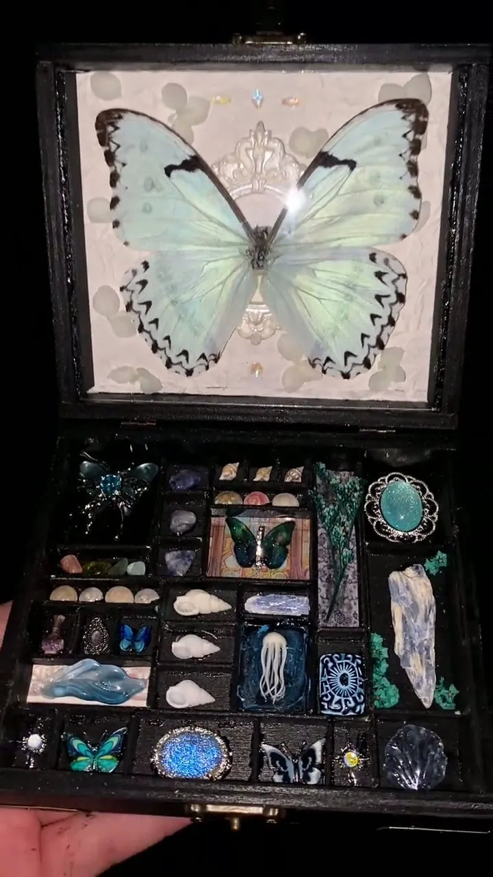 Butterfly specimen gift - Big Box - Style3 Butterfly specimen gift - Big Box - Style3