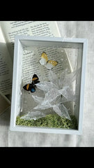 Ethereal Duo – Butterfly Specimen Frame with Artistic Plastic Leaves