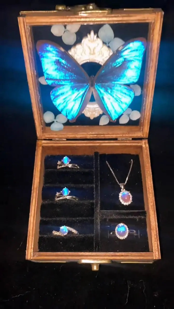 Blue Morpho Butterfly Jewelry Box – Handmade Rings & Necklace Gift Set Blue Morpho Butterfly Jewelry Box – Handmade Rings & Necklace Gift Set