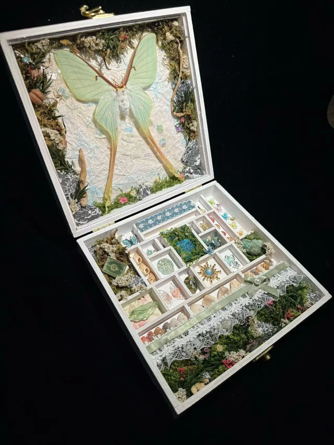 Whispers of the Moon – Luna Moth Specimen Gift Box 🌙🦋 Whispers of the Moon – Luna Moth Specimen Gift Box 🌙🦋