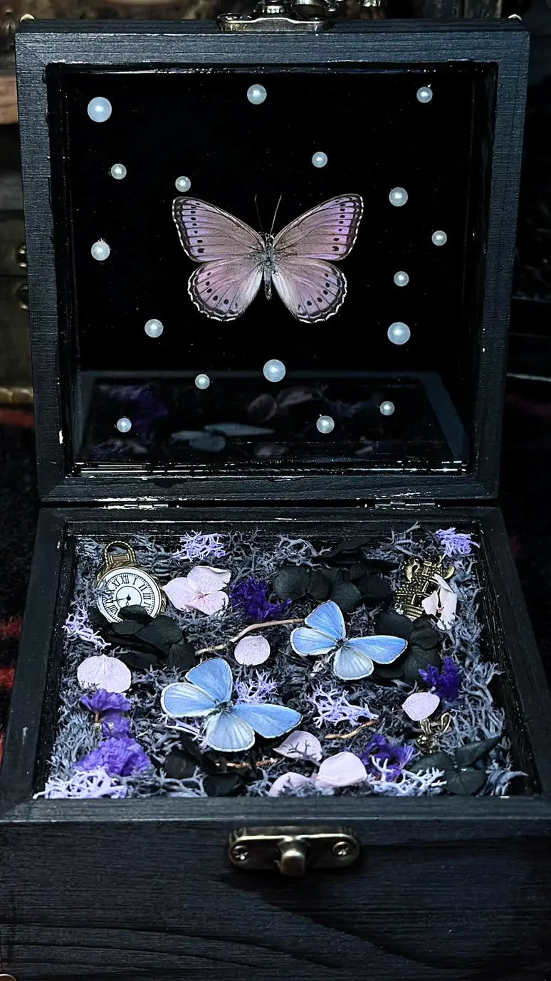 Butterfly Specimen Music Box – Enchanted Keepsake with Soothing Melody