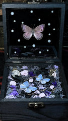 Butterfly Specimen Music Box – Enchanted Keepsake with Soothing Melody