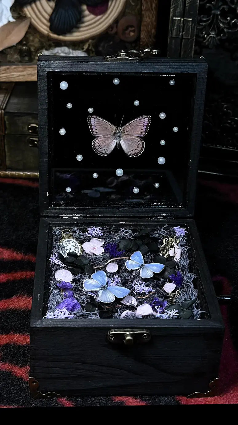 Butterfly Specimen Music Box – Enchanted Keepsake with Soothing Melody Butterfly Specimen Music Box – Enchanted Keepsake with Soothing Melody