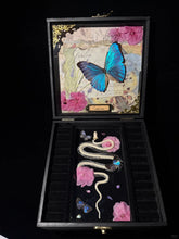 Butterfly & Snake Bone Music Box – Vintage Paper Tape Mechanism with Real Specimens