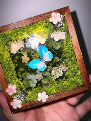 Glowing Butterfly Specimen Box – Handmade LED Butterfly Shadow Box Decor style 1