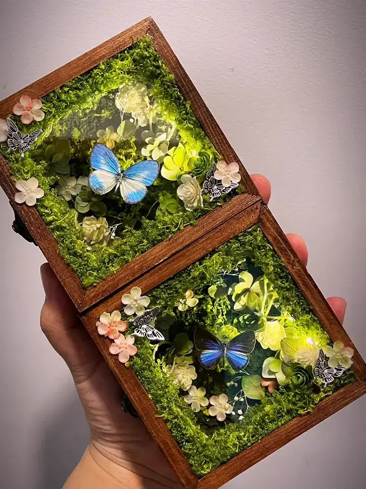 Glowing Butterfly Specimen Box – Handmade LED Butterfly Shadow Box Decor