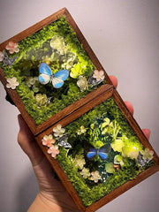 Glowing Butterfly Specimen Box – Handmade LED Butterfly Shadow Box Decor