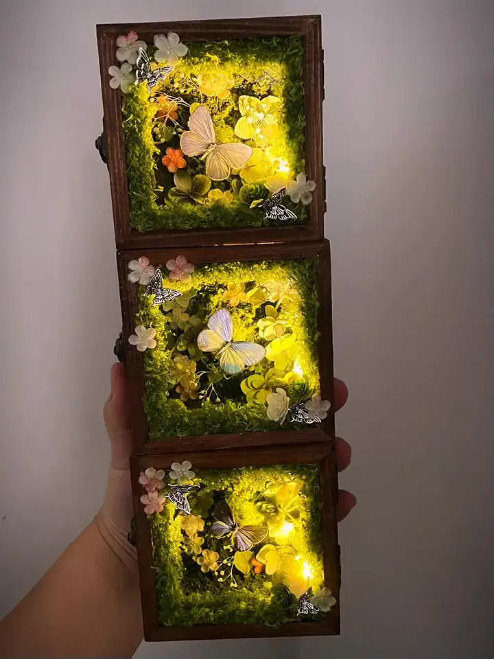 Glowing Butterfly Specimen Box – Handmade LED Butterfly Shadow Box Decor