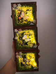 Glowing Butterfly Specimen Box – Handmade LED Butterfly Shadow Box Decor