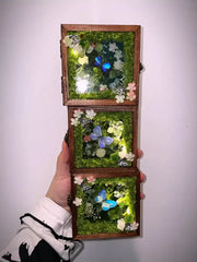Glowing Butterfly Specimen Box – Handmade LED Butterfly Shadow Box Decor
