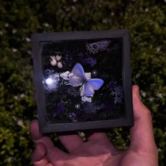 Enchanted Purple Butterfly Shadow Box - Handcrafted Moss & Mushroom Diorama Decor