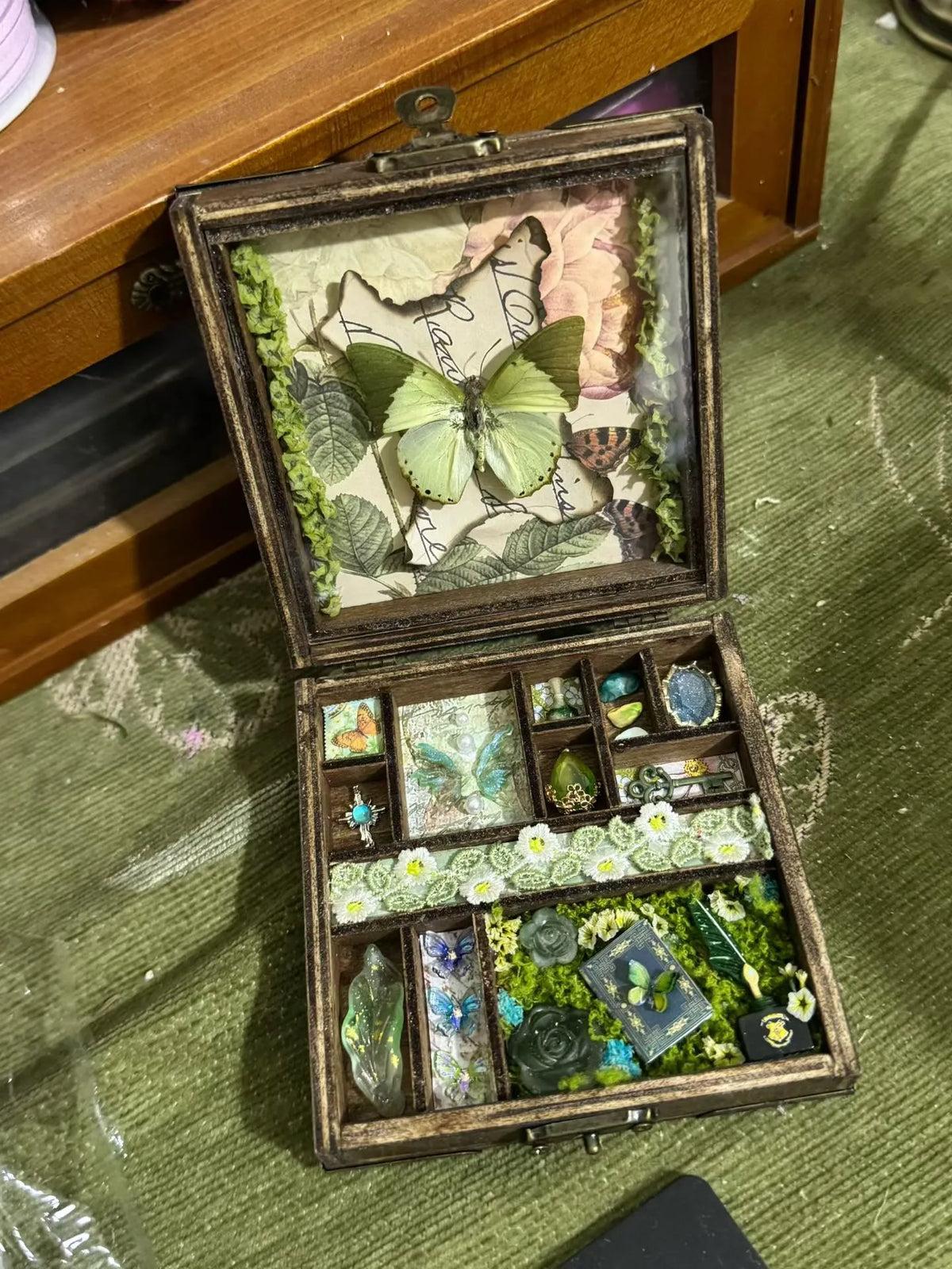 Butterfly Specimen Curio Box – Handmade Botanical Keepsake