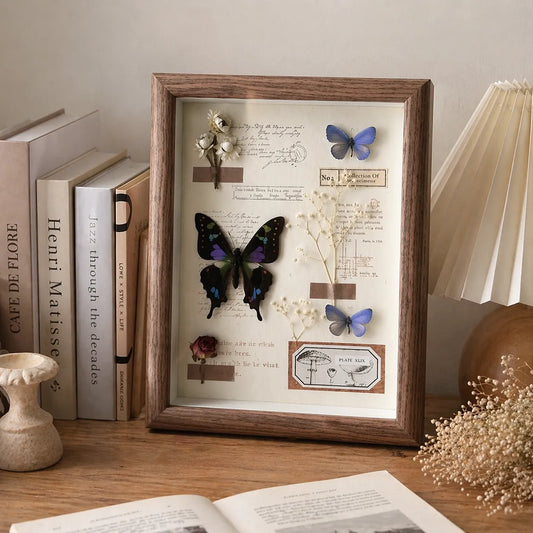 What Does a Butterfly Symbolize? The Meaning Behind Butterfly Specimens
