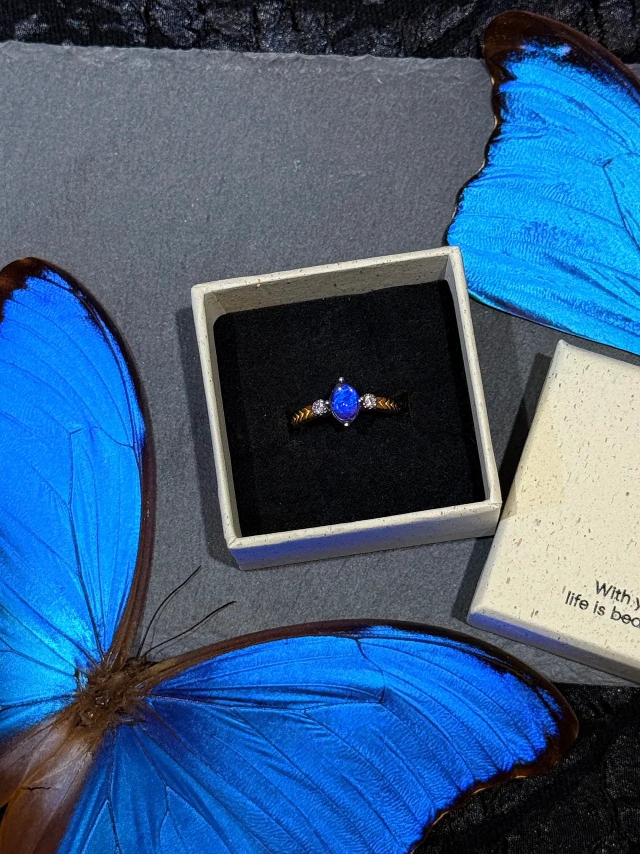 Butterfly Wing Specimen Ring | Handmade Nature-Inspired Jewelry (Multiple Styles) Style 20