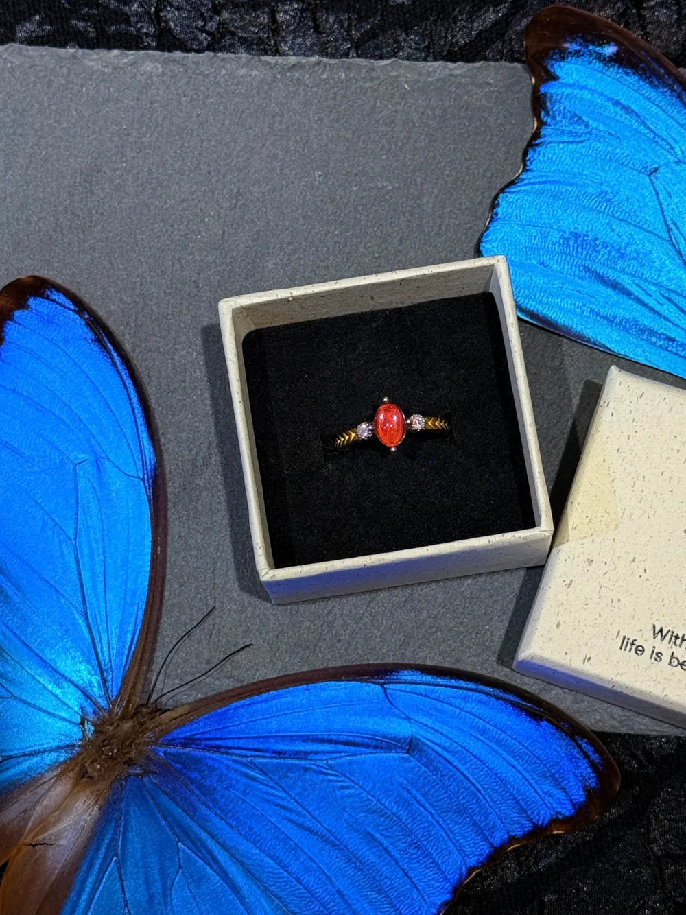 Butterfly Wing Specimen Ring | Handmade Nature-Inspired Jewelry (Multiple Styles) Style 19