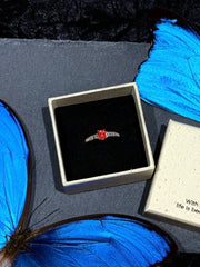 Butterfly Wing Specimen Ring | Handmade Nature-Inspired Jewelry (Multiple Styles) Style 17