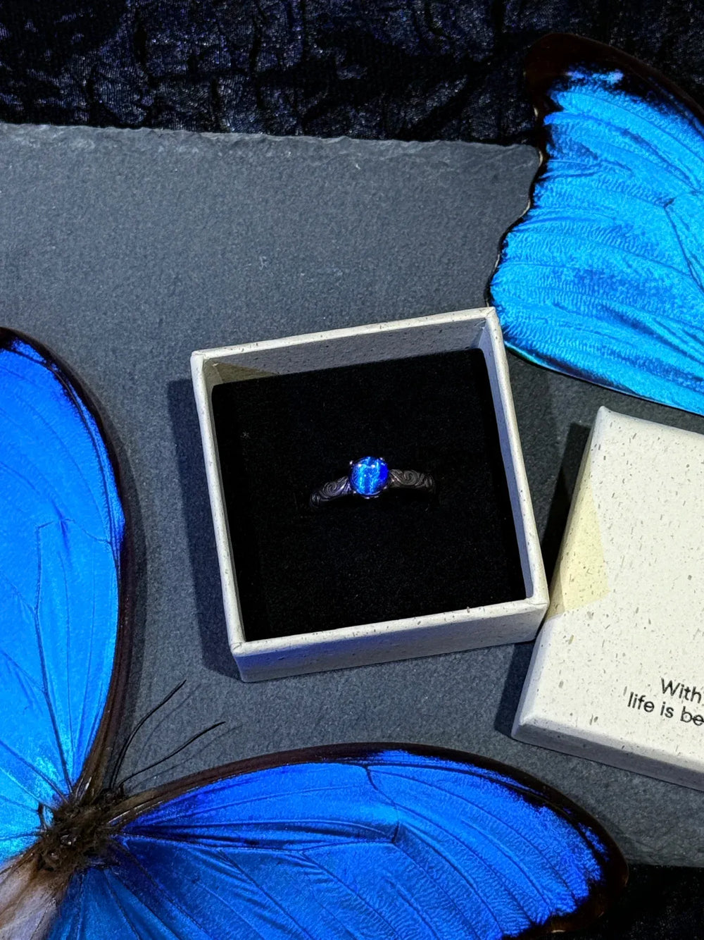 Butterfly Wing Specimen Ring | Handmade Nature-Inspired Jewelry (Multiple Styles) Style 13