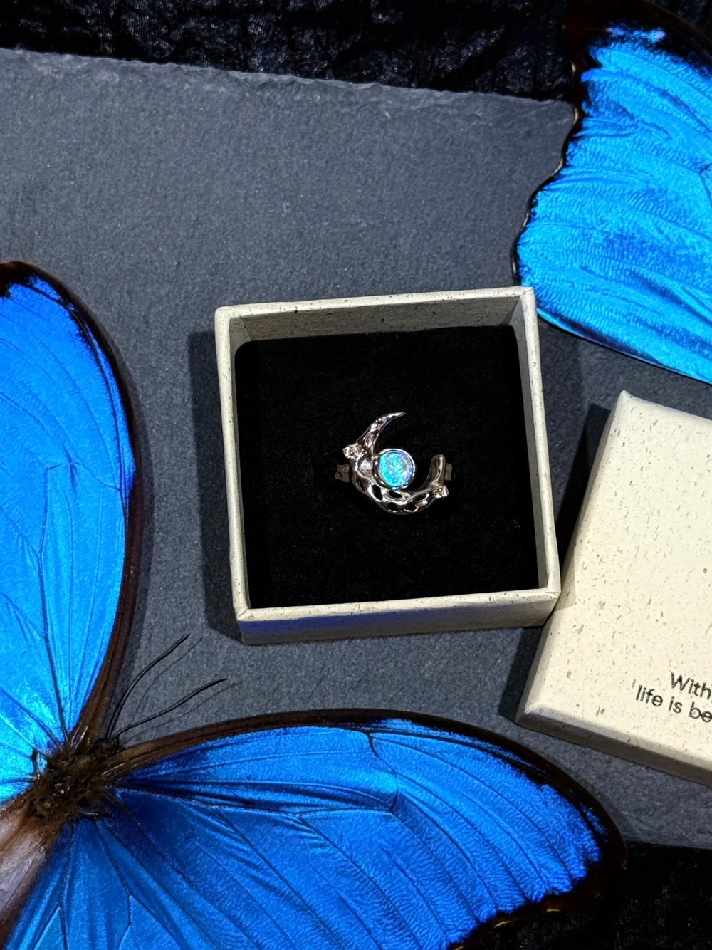 Butterfly Wing Specimen Ring | Handmade Nature-Inspired Jewelry (Multiple Styles) Style 12