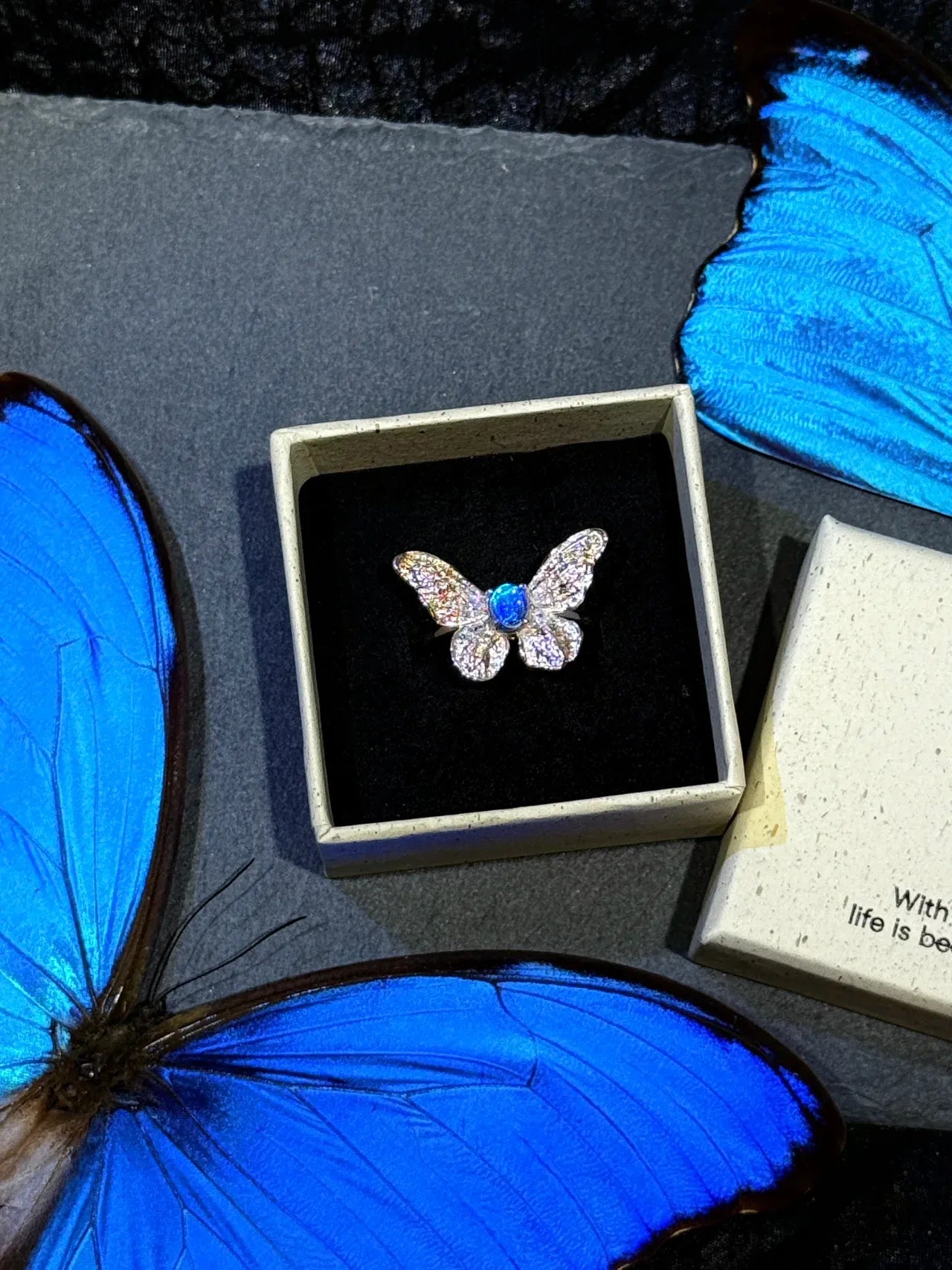 Butterfly Wing Specimen Ring | Handmade Nature-Inspired Jewelry (Multiple Styles) Style 10