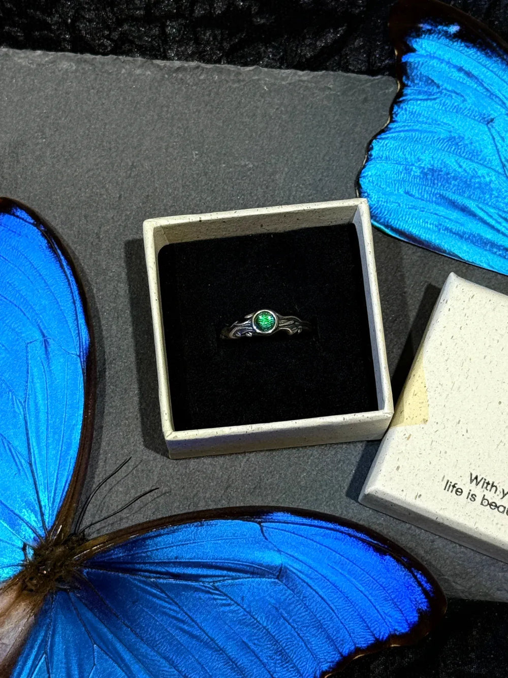 Butterfly Wing Specimen Ring | Handmade Nature-Inspired Jewelry (Multiple Styles) Style 9